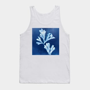 Seaweed Tank Top